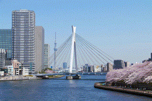 中央大橋