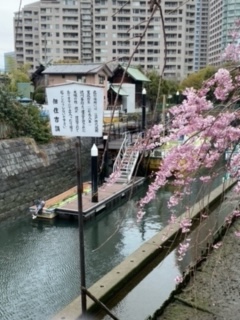 船溜り