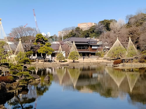 雪吊